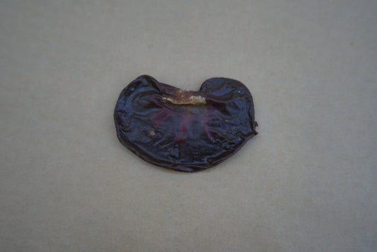 Lamb Kidney