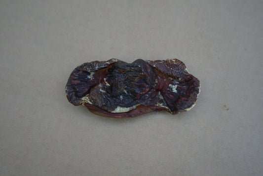Chicken Gizzard