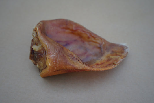 Pork Ear