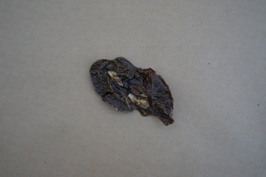 Beef Kidney