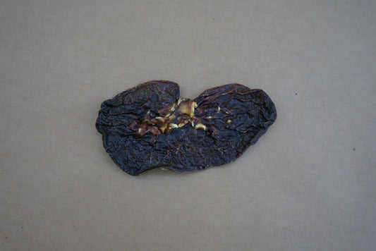 Pork Kidney