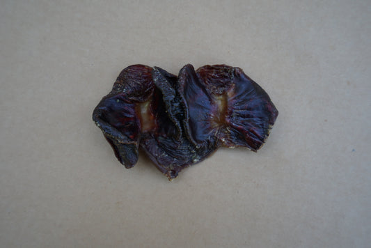 Turkey Gizzard