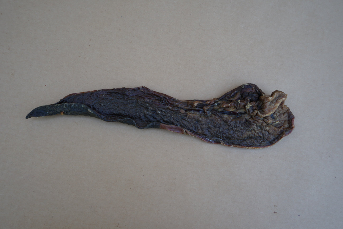 Beef Tongue