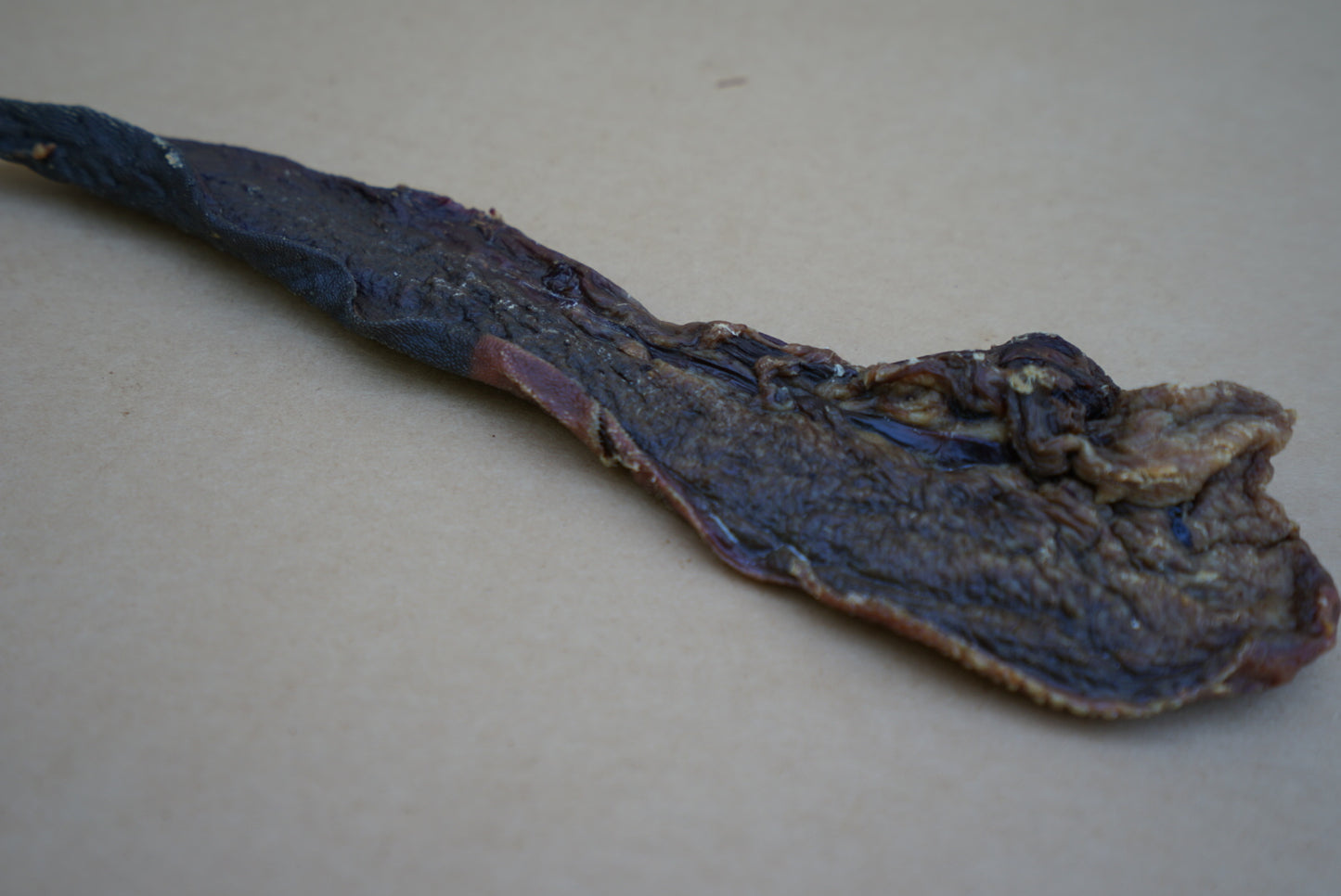 Beef Tongue